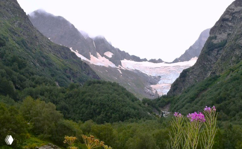Панорамный вид на ледниковое образование и цирк вершины: снежные поля, ледник и передний план с цветущими растениями.