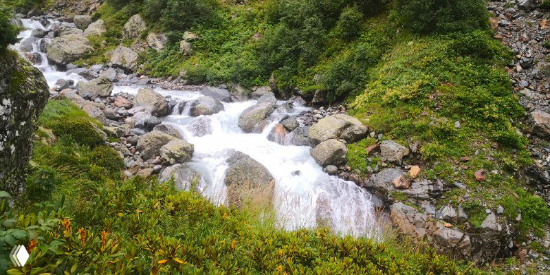 Горная река, протекающая между камнями в узком русле: прозрачная холодная вода, скалы и плотная горная растительность по берегам.