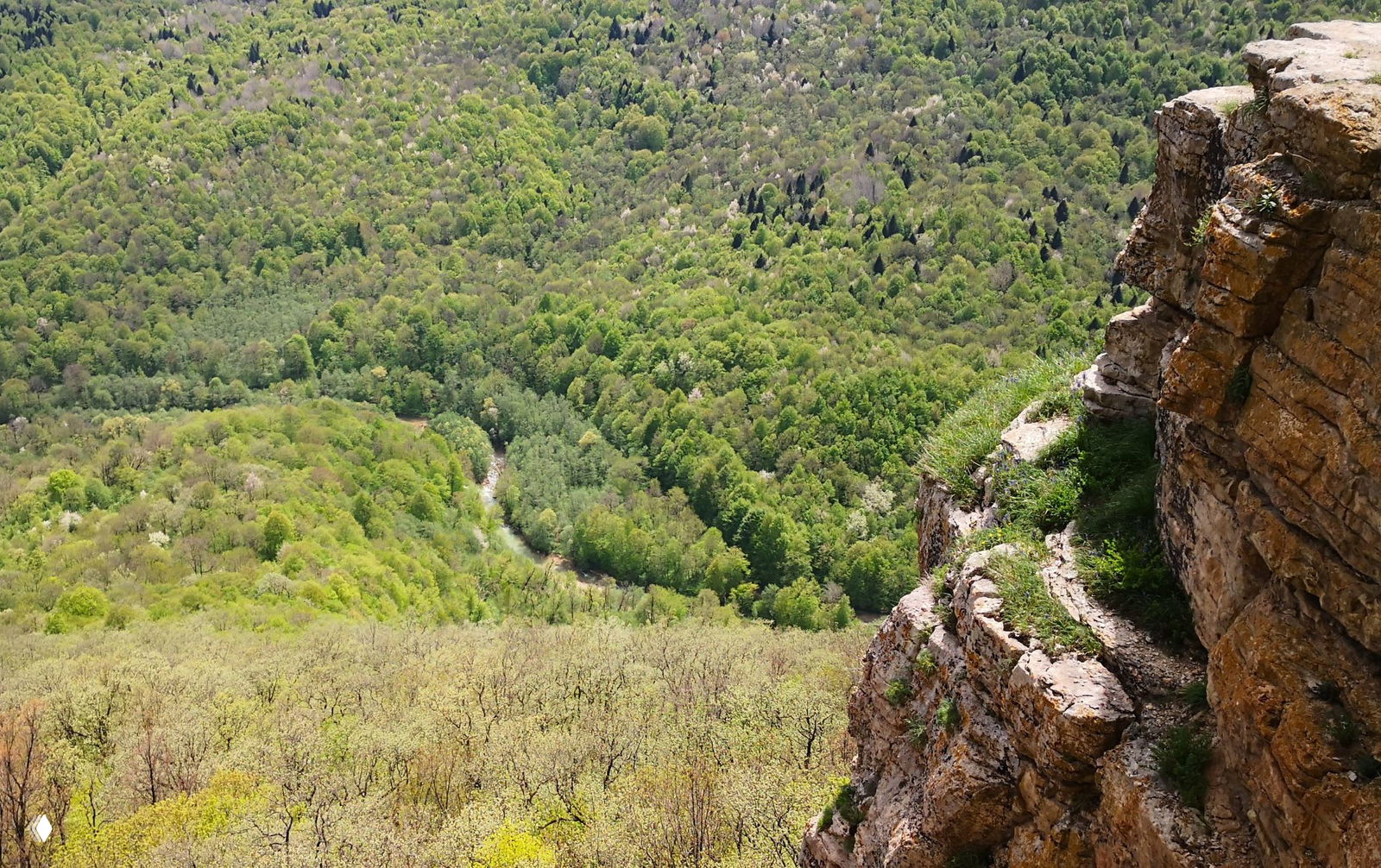 Вид вниз с высокой кромки скалы: плотный зелёный покров леса, извилистая река Курджипс внизу и крутой обрыв у края Орлиной полки.