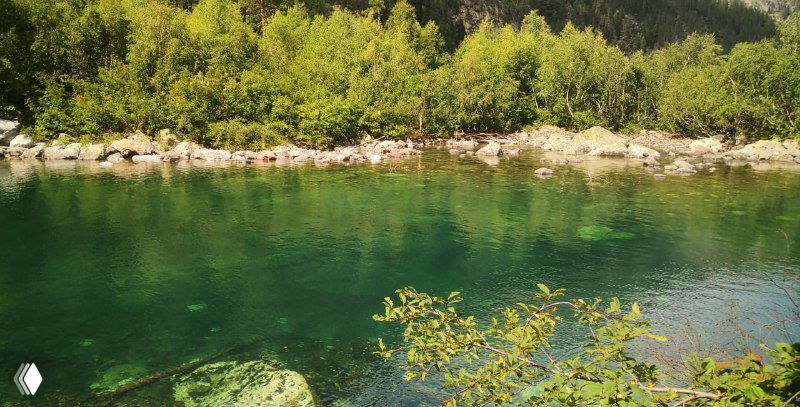 Панорамный вид на изумрудную поверхность Бадукского озера у кромки берега, видны камни под прозрачной водой и прибрежная растительность.