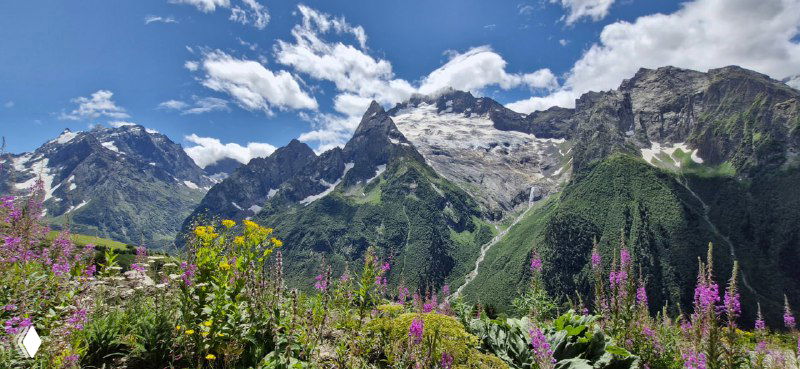 Горный ландшафт с цветущими травами и дикими цветами на переднем плане, вдалеке причудливые пики и ледники Мусса-Ачитары.