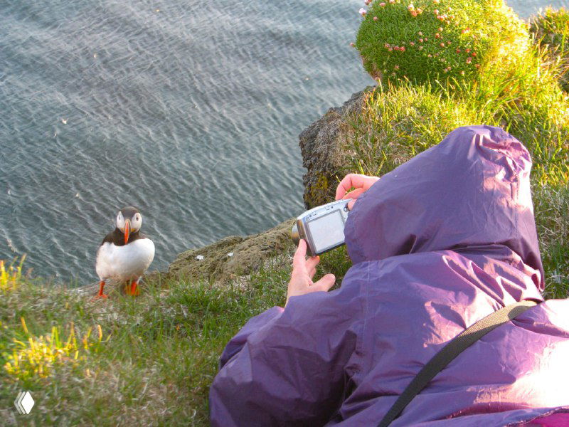 Фотограф в фиолетовой куртке снимает тупика на краю скалы; передняя птица и море на заднем плане создают сцену.