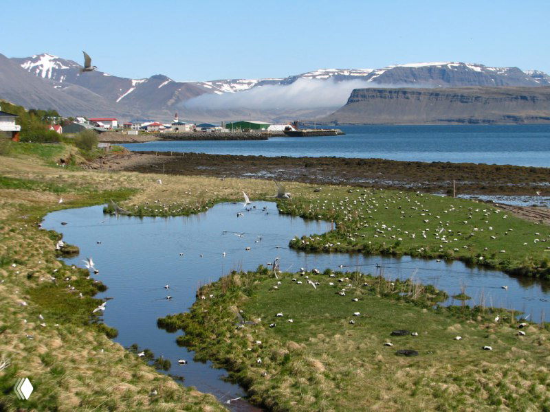 Исландия — день третий
