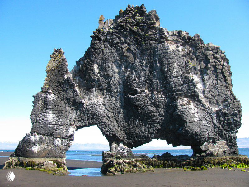 Крупный план скалы-слона на чёрном пляже Исландии, отчетливая текстура базальта, трещины и мелкие лужи после отлива, подчёркивающие форму.