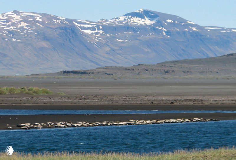 Широкий пейзаж с равниной и рекой на фоне снежных гор северной Исландии: обширные чёрные пляжи и спокойная степная сцена у побережья.