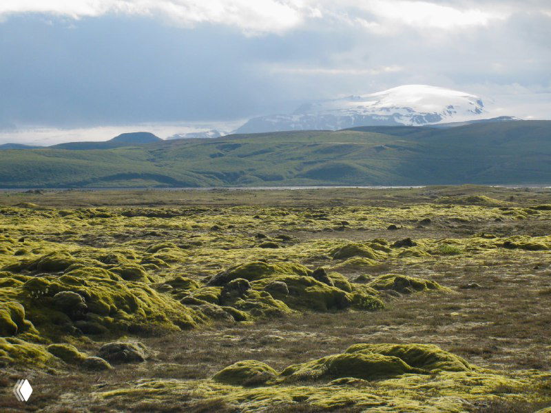 Широкие поля замшёлого лавового покрова зелёного цвета — бесконечная мягкая текстура по южному побережью Исландии.