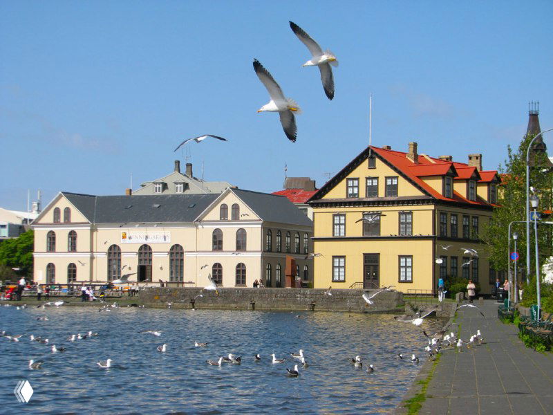 Набережная Рейкьявика с прогулочной дорожкой, стаями морских птиц и разноцветными домами на фоне ясного неба.