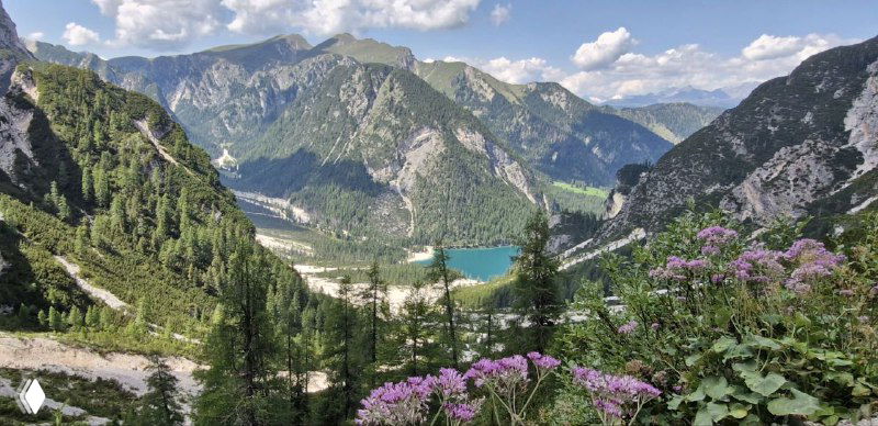 Широкий вид долины с озером Брайес внизу, цветущие альпийские растения на переднем плане и горы вдали.
