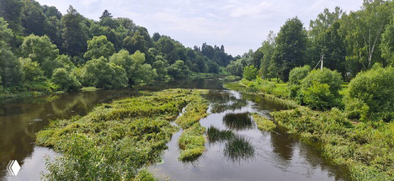 Речные отмели и спокойная вода Протвы между зелёными берегами, отражения кустов и тихая летняя атмосфера для прогулки.
