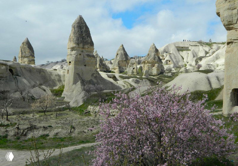 Высокие каменные столбы и конусы перибаджалары с цветущими кустами внизу, демонстрирующие контрасты ландшафта и растительности Каппадокии.