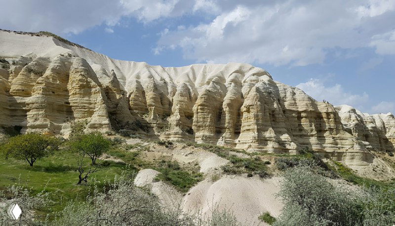 Белые и кремовые туфовые образования с вертикальными бороздами и зеленью на склонах — деталь геологии долин Каппадокии.