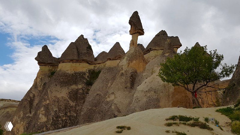 Незаметные одинокие столбчатые образования с каменными верхушками и небольшим деревцем на переднем плане в долине.