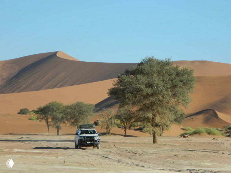 Автомобиль на фоне огромных песчаных дюн Намибии: силуэты барханов, редкие деревья и машина, пробивающаяся по пустынной равнине.