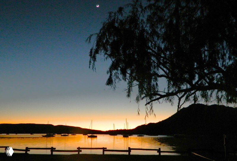 Тихая бухта в сумерках: отражения лодок на воде, тёмный силуэт ветвистого дерева и линия берега на горизонте при падающем свете.