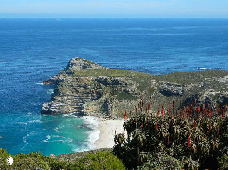 Панорамный вид на мыс Доброй Надежды: зеленые участки травы, отвесные утесы и бирюзовый океан с пляжем внизу.