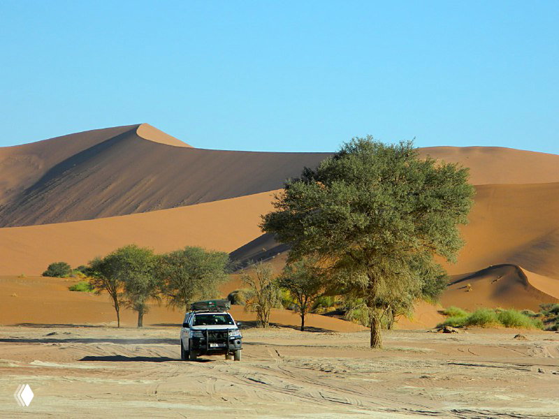 Полноприводный джип и несколько зеленых акаций на песчаной равнине у подножия дюн Соссусфлей — передвижение по песку требует техники.