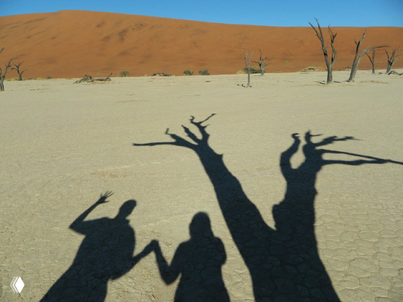 Тени людей и ветвей деревьев на белом дне высохшего озера создают графичные силуэты и подчеркивают пустынную атмосферу Соссусфлей.