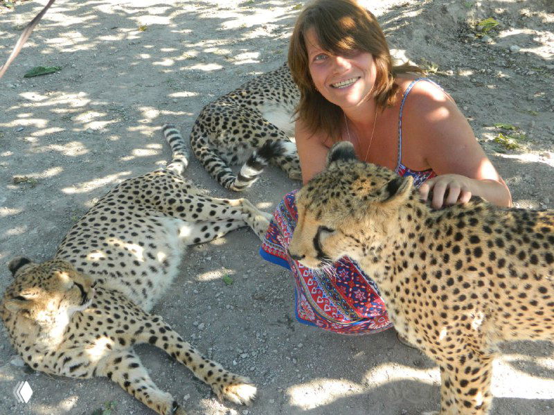 Намибия — на гепардовой ферме
