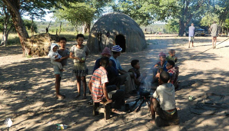 Детская сцена в деревне сан в Намибии: дети и взрослые под деревьями собираются у центра, повседневная жизнь общины в тени деревьев.