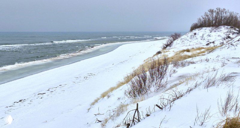 Заснеженный берег Балтийского моря и дюны Куршской косы зимой: пустой пляж, белый снег и полоса льда у воды, пустынный зимний пейзаж.