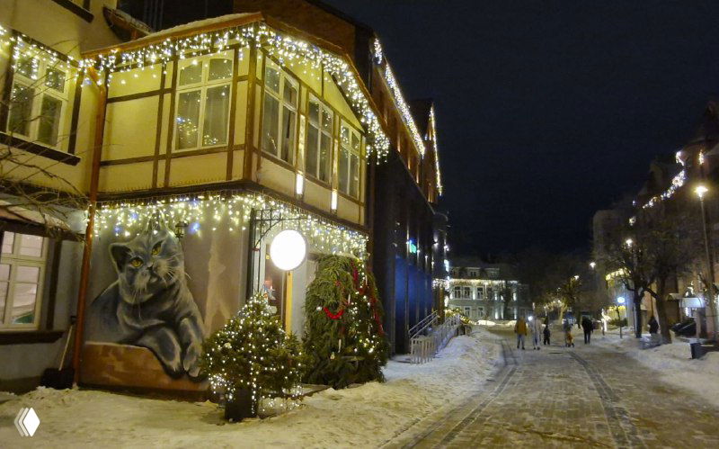 Ночной вид старого деревянного дома с подсветкой и крупным муралом кошки на фасаде; зимняя улица Зеленоградска с иллюминацией и уютной атмосферой для прогулок.