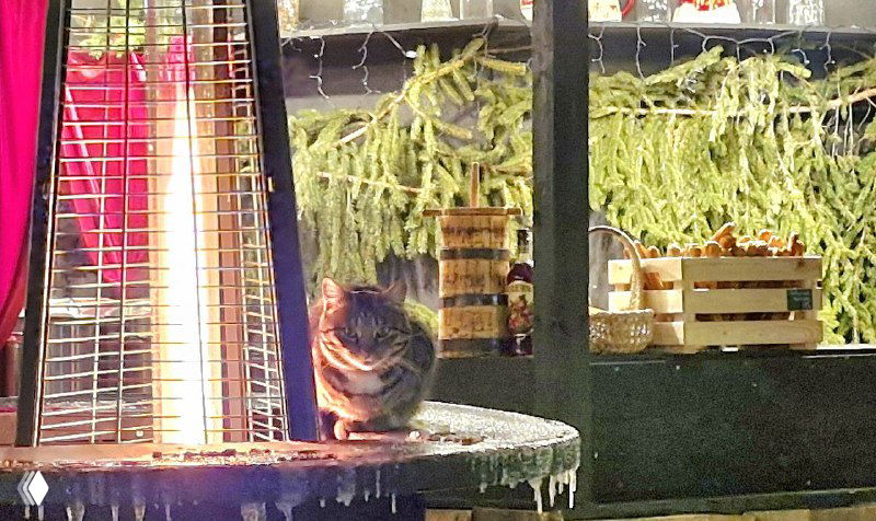 Кот свернулся у уличного обогревателя рядом с прилавком; кадр зимнего вечера в Зеленоградске, иллюстрация обогреваемых домиков и заботы о животных в городе.