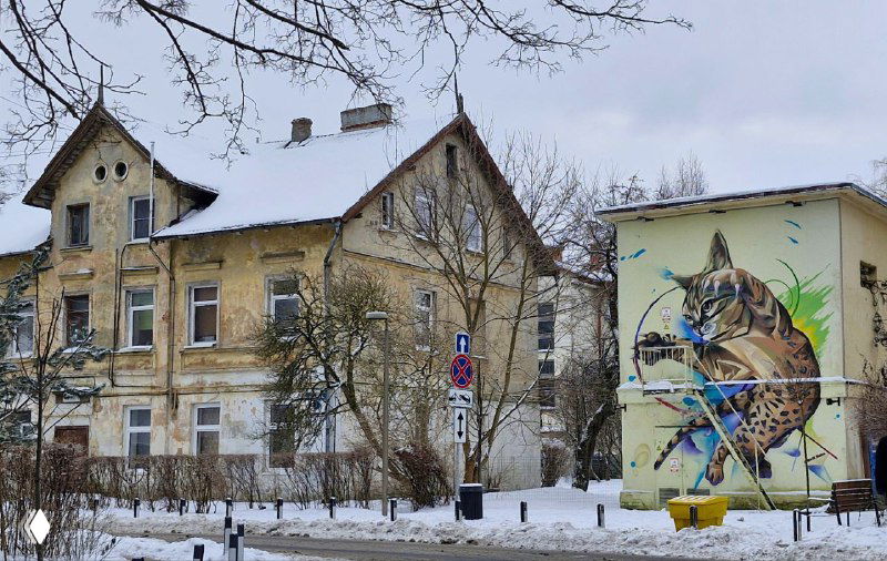 Мурал с изображением кота на фасаде дома среди заснеженных улиц; уличное искусство в Зеленоградске, отражающее кошачью тему и локальное творчество жителей.