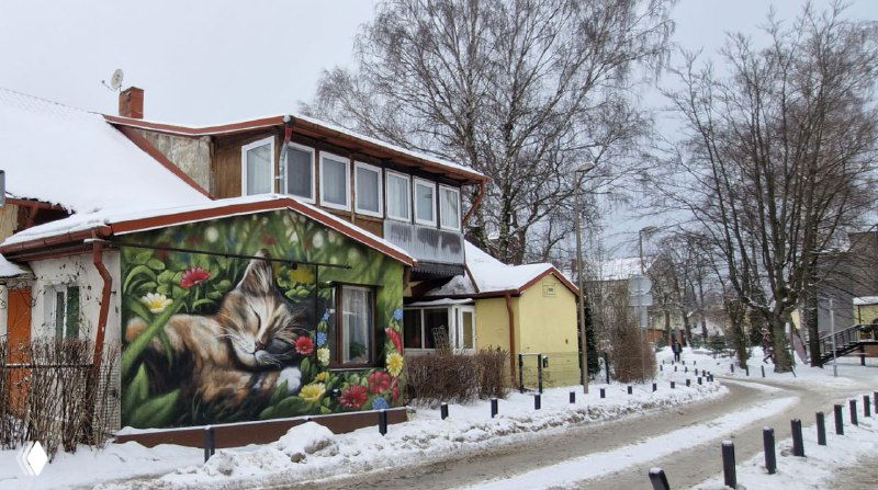 Роспись на стене дома с изображением кошки и декоративными элементами — зимний городской мурал Зеленоградска рядом с пешеходной улицей и домами.