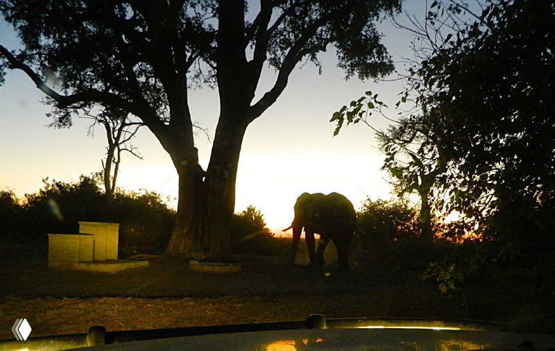 Силуэт слона у кемпинга на закате: машина и кемпсайт внизу кадра, тёплое вечернее освещение и спокойная сцена завершения дня после сафари.