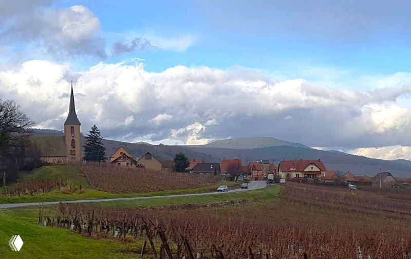 Панорама деревни в Эльзасе: виноградники на переднем плане, церковная башня и дома под пасмурным небом, холмы на горизонте.