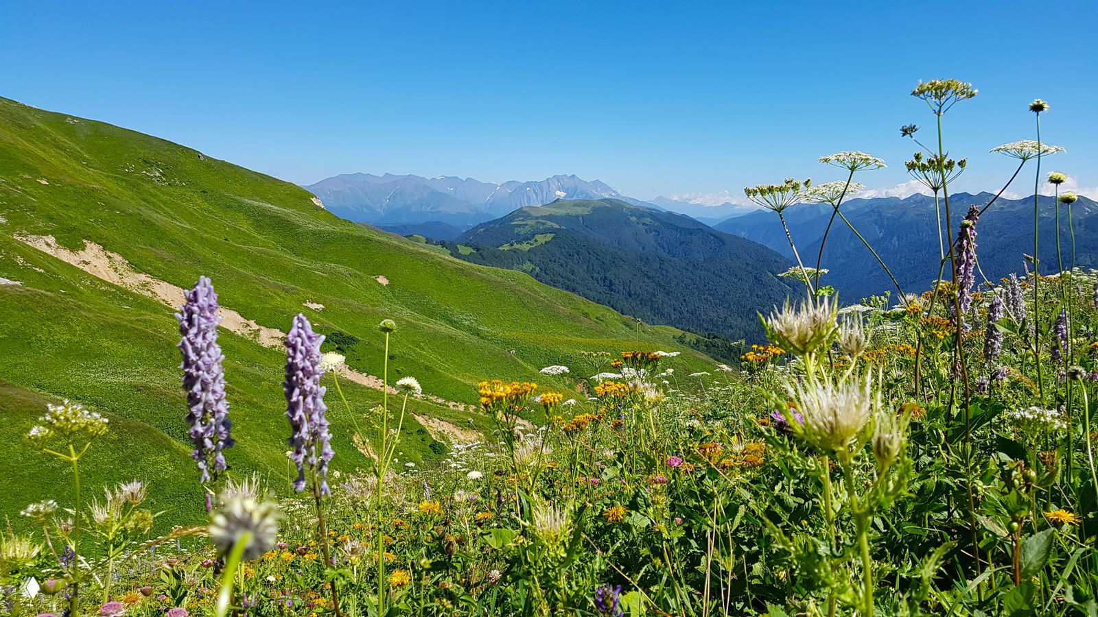 Нагорье Лагонаки