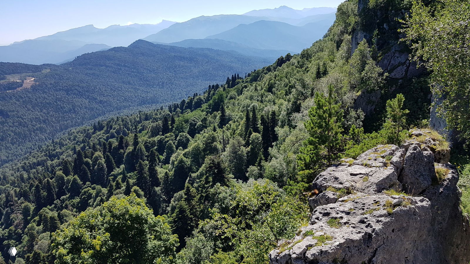 Крутой лесистый склон и скальные выступы над долиной в Лагонаки, вид с тропы на мягкие линии хребтов и ложбин с хвойными деревьями.