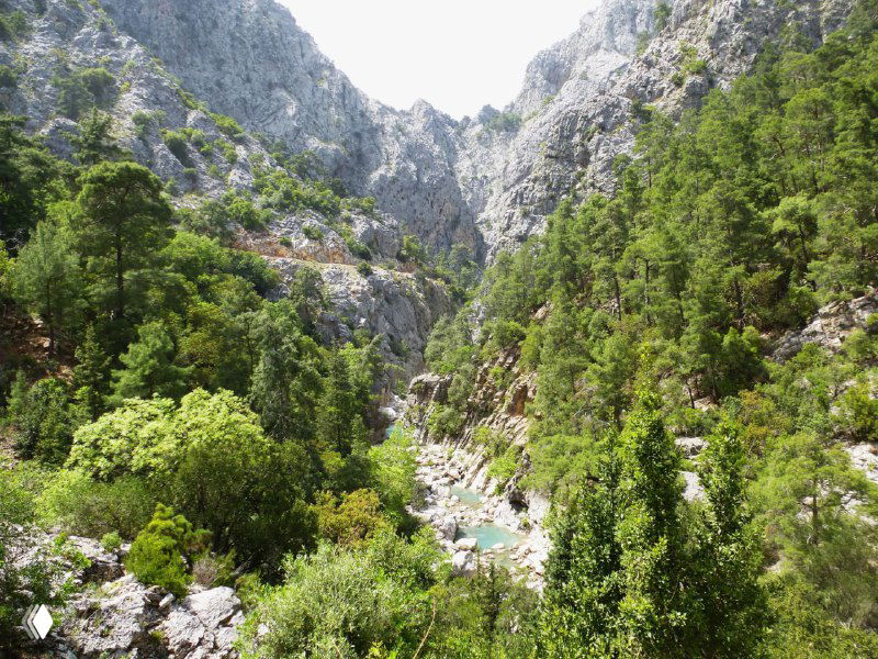 Вид сверху на узкое каменистое ущелье каньона Гёйнюк: извивающаяся река, обрывистые склоны и плотные заросли сосен.