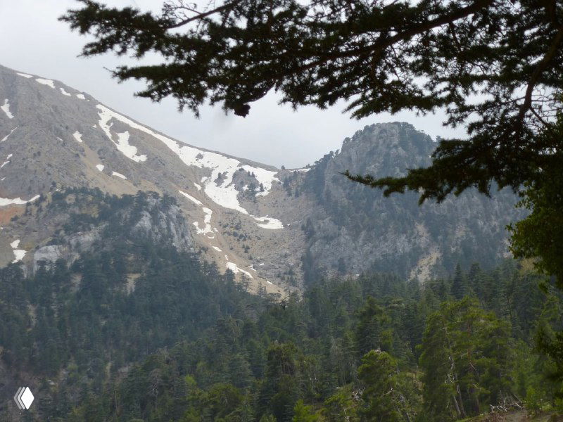 Снежные карнизы и крутосклонные участки на высокогорье Тахталы, внизу — темные полосы хвойного леса и редкие облака.