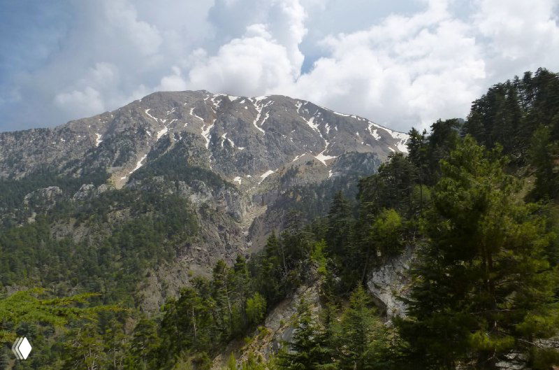 Крутые горные склоны и сосновый лес в предгорьях, скальные гряды под облачным небом — типичный вид маршрута вверх к вершине.
