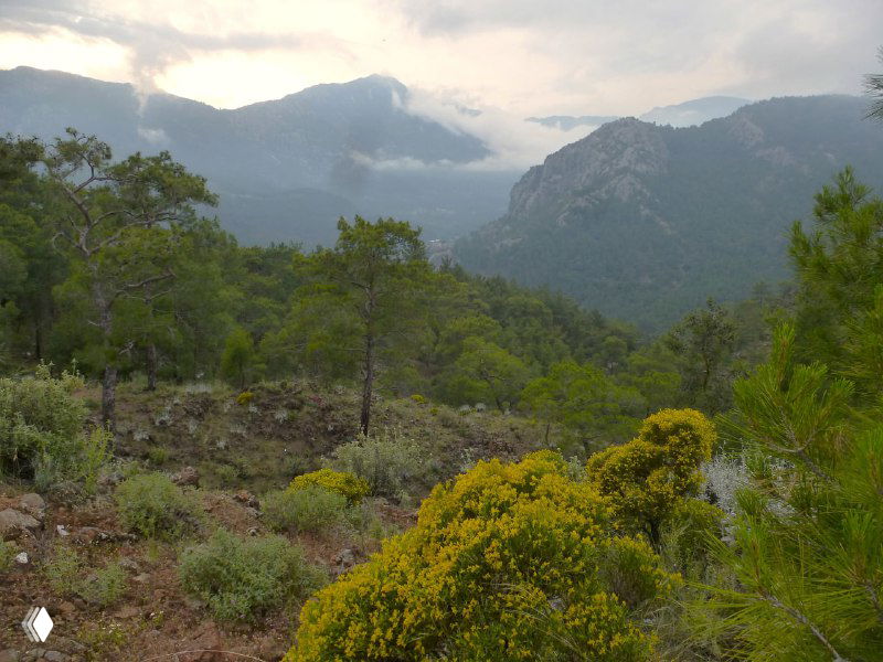 Панорамный вид на горный массив вокруг тропы, покрытый низкой растительностью и редкими деревьями, вид с подъёма к Химере.
