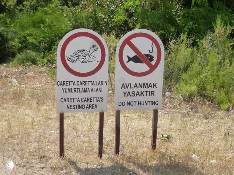 Информационные щиты и запретные знаки, обозначающие место гнездования морских черепах Caretta caretta и запрет охоты на этом участке пляжа.