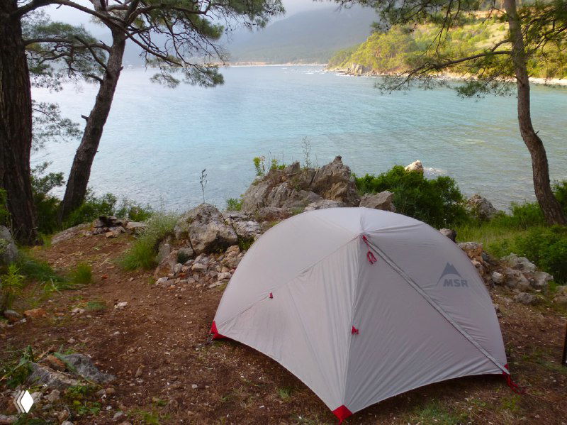 Палатка, установленная в сосновом лесу прямо у берега моря: спокойная бухта, корни и хвойные деревья вокруг стоянки.