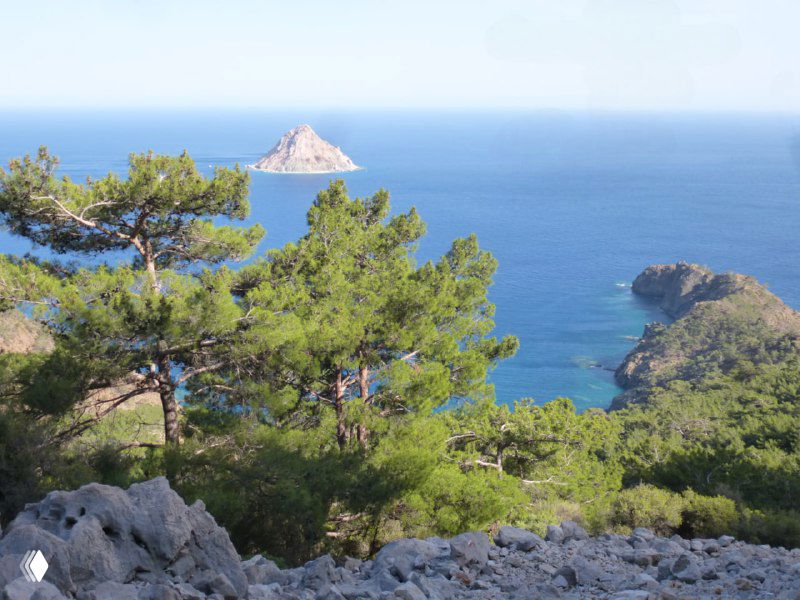 Морской пейзаж с соснами на переднем плане и небольшим островком у побережья — участок тропы у мыса, характерный для этого дня пути.