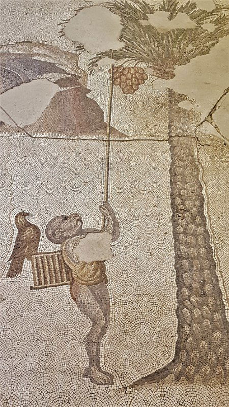 Мозаика с фигурой человека, держащего корзину или клетку и стоящего у пальмы — бытовая сценка, найденная при раскопках на месте дворца, сейчас в музее Араста.