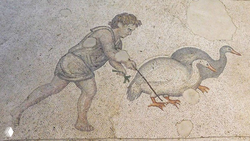 Мозаика с фигурой юноши, подводящего или добывающего птицу — бытовая сцена, показывающая повседневную жизнь и взаимодействие людей с животными на мозаичных панно.