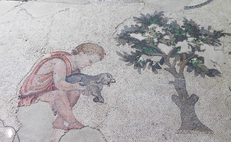 Фрагмент мозаики с ребёнком, несущим щенка или мелкое животное рядом с деревцем — трогательная бытовая сцена из коллекции Музея мозаик Араста.