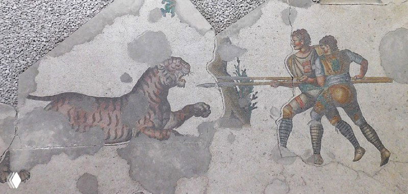 Мозаика со сценой борьбы: львица или большая кошка и двое людей с копьями — фрагмент пола дворцового коридора, подчеркивающий динамику изображений.