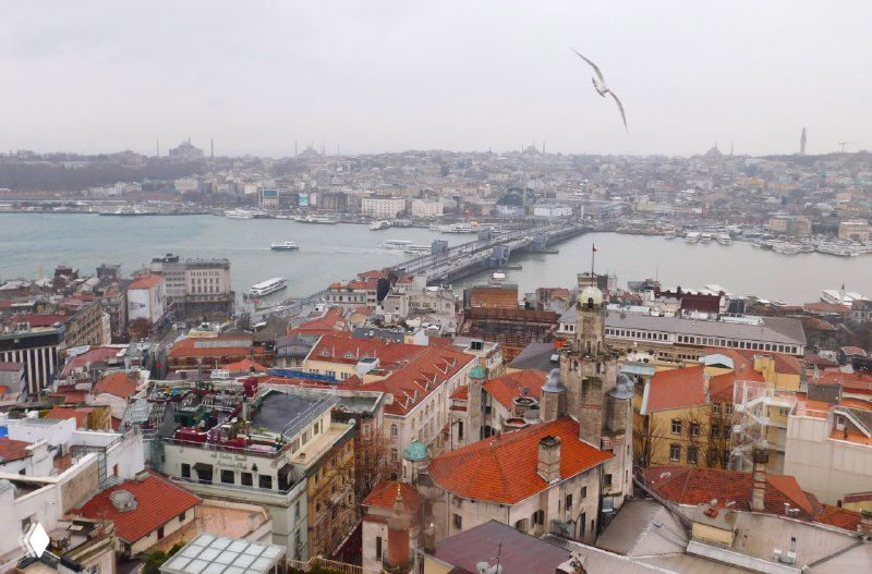Вид с Галатской башни или близкой точки на красные крыши старого Стамбула и мост через Золотой Рог, чайки в небе.