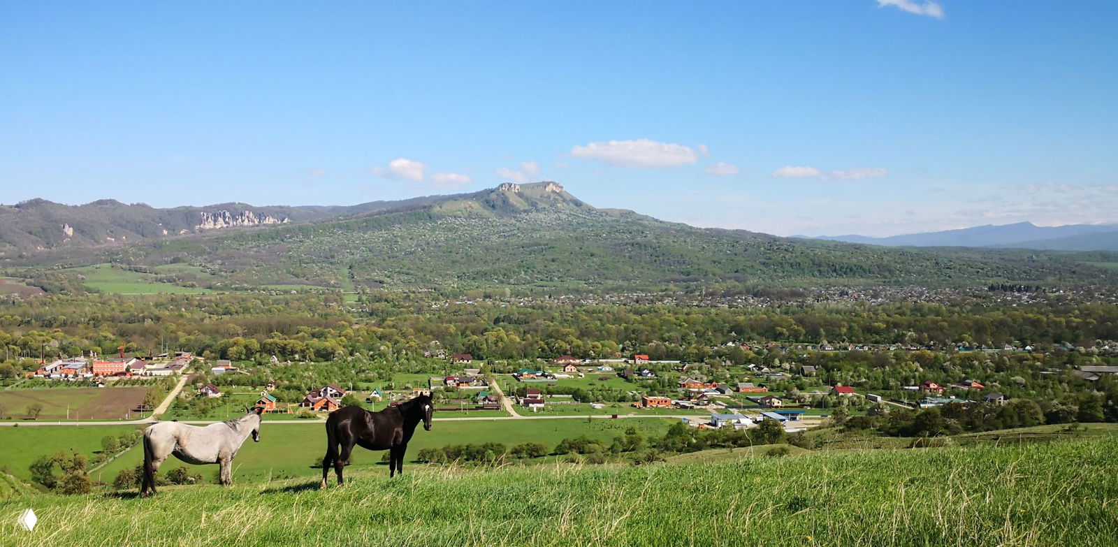 Долина с известняковыми столпами и зелёными зарослями деревьев; вид на фигурные скальные отложения в окружении весенней растительности.