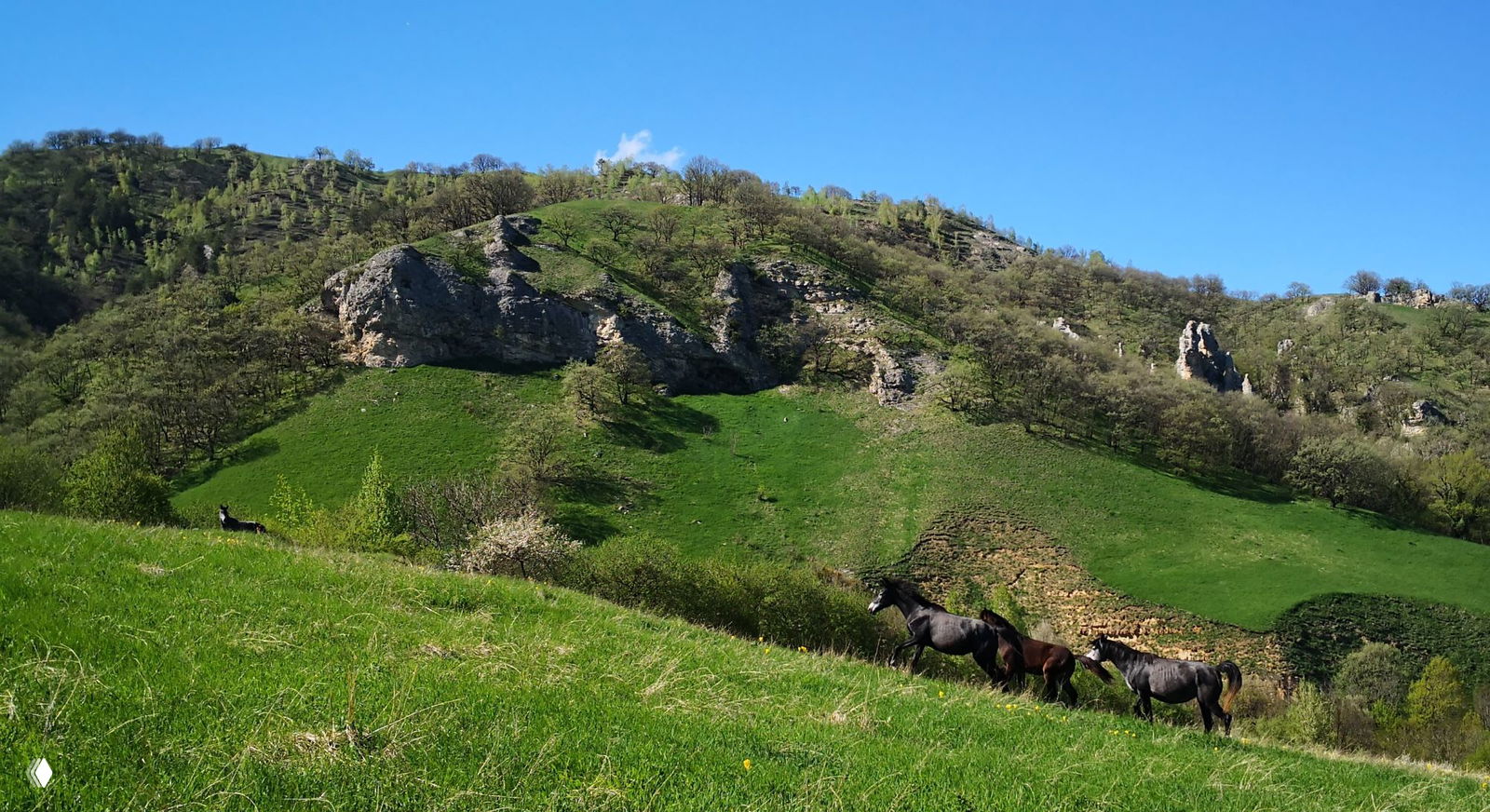 Две лошади на зелёном склоне над деревней и полями, внизу просматриваются дома и сельский пейзаж под голубым небом.