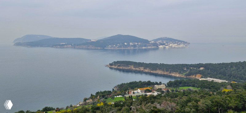 Морской вид с высоты на Принцевы острова и аккуратные береговые линии; вдалеке виден Мраморное море и соседние острова под пасмурным небом.