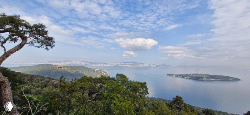 Обширный морской пейзаж с островами на горизонте и зелёными склонами в переднем плане — спокойный вид на Мраморное море с Бююкаду.