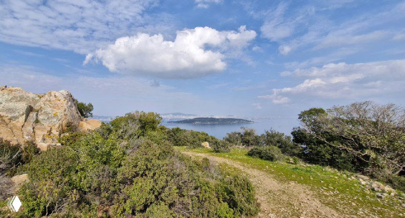 Зелёный прибрежный склон и изгиб тропы, вид на море и облачное небо — тихая прогулочная сцена в полях и кустарниках.