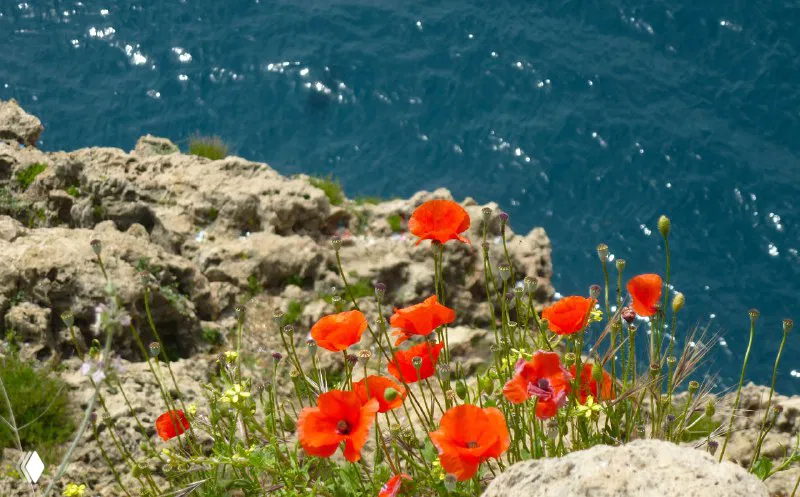 Ликийская тропа — практические моменты